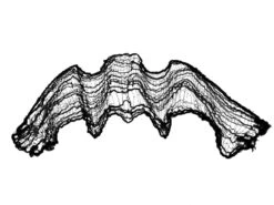 Deco Fabric, Broad, Black, 76x500cm