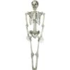 Halloween Skeleton, 150 Cm -Halloween Decoratie Winkel 83314595a