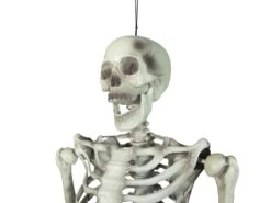 Halloween Skeleton, 150 Cm -Halloween Decoratie Winkel 83314595c