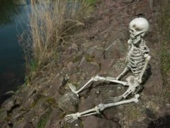 Halloween Skeleton, 150 Cm -Halloween Decoratie Winkel 83314595d