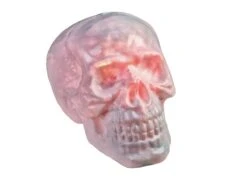 Halloween Skull, 31x22x22cm 6 Halloween Skull, 31x22x22cm -Halloween Decoratie Winkel 83314669c