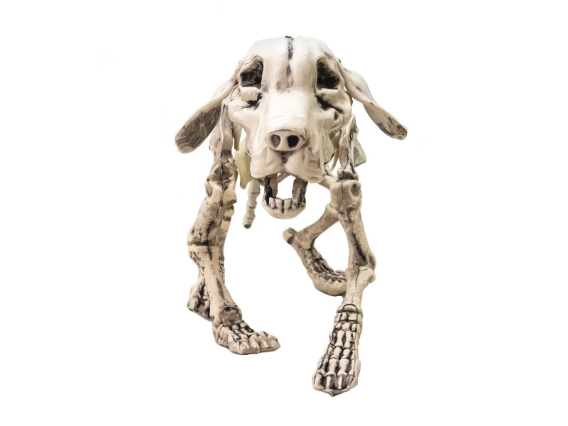 Halloween Skeleton Dog, 71x40x25cm 4 Halloween Skeleton Dog, 71x40x25cm - Afbeelding 2