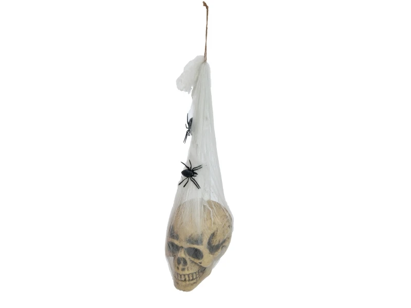 Halloween Figure Skull In Spider Web 3 Halloween Figure Skull In Spider Web