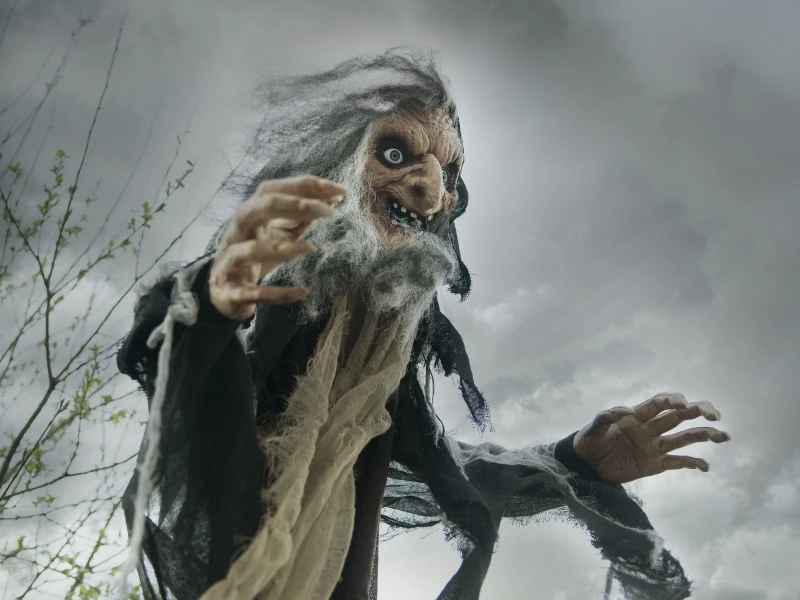 Halloween Witch, Nahema, 160cm 5 Halloween Witch, Nahema, 160cm - Afbeelding 3