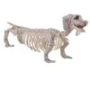Teckel Skelet -Halloween Decoratie Winkel 94185 0