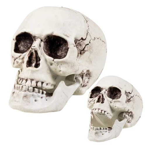 Doodshoofd Met Beweegbare Kaak (17x15cm) 3 Doodshoofd Met Beweegbare Kaak (17x15cm)