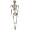 Halloween Figure Skeleton -Halloween Decoratie Winkel europalms halloween figure skeleton 165 cm