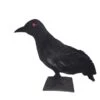 Halloween Raven 30x11x23cm -Halloween Decoratie Winkel europalms halloween raven 30x11x23cm