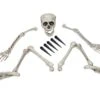 Halloween Skeleton, Multipart -Halloween Decoratie Winkel europalms halloween skeleton multipart