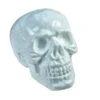 Halloween Skull, 31x22x22cm -Halloween Decoratie Winkel europalms halloween skull 31x22x22cm